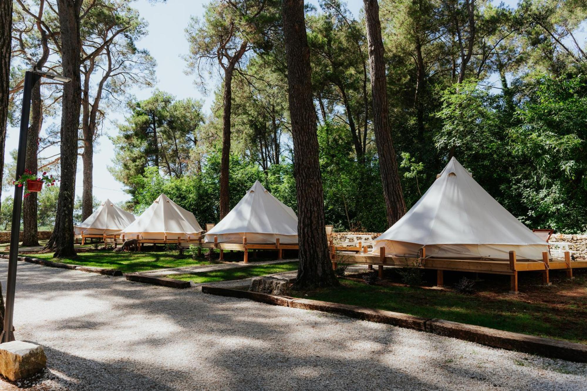 Camp 'dvor' Bell Tent
